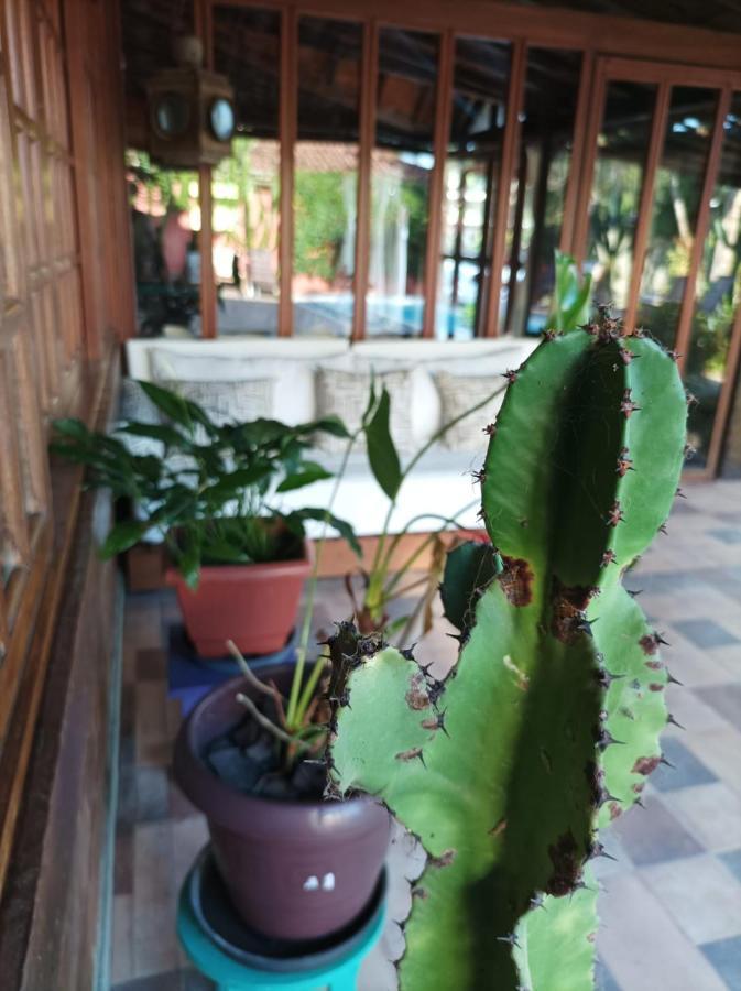 Casa De Ioio Arraial Bed & Breakfast Порто Сегуро Екстериор снимка